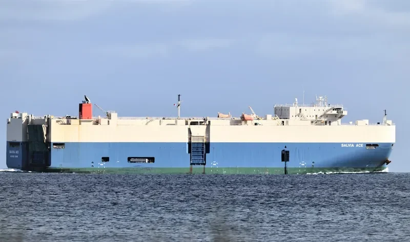 SALVIA ACE General Cargo IMO 9338876 photo 4