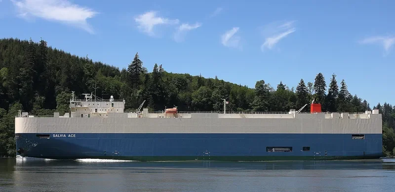SALVIA ACE General Cargo IMO 9338876 photo 7