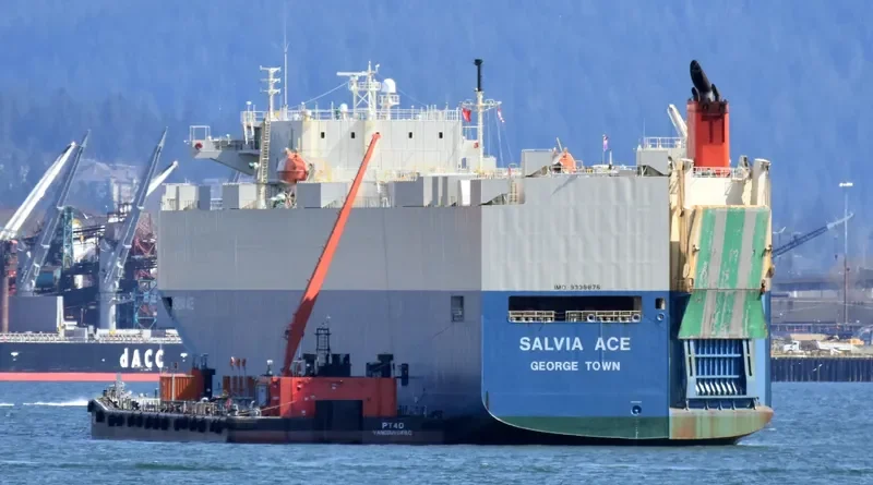 SALVIA ACE General Cargo IMO 9338876 photo 9