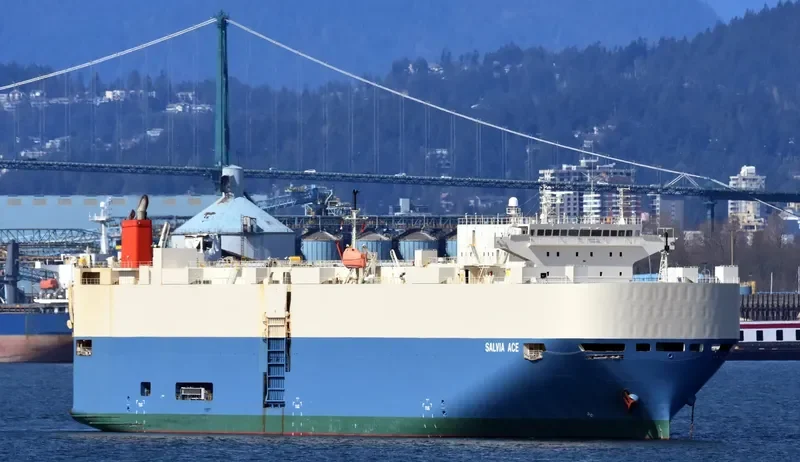 SALVIA ACE General Cargo IMO 9338876 photo 10