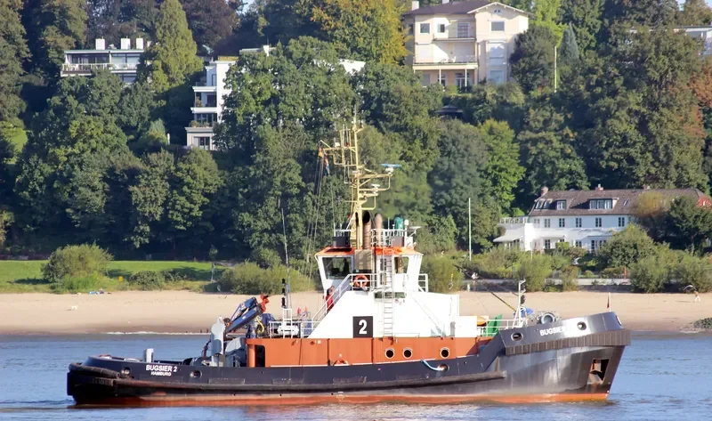 BUGSIER 2 General Cargo IMO 9338993 photo 7