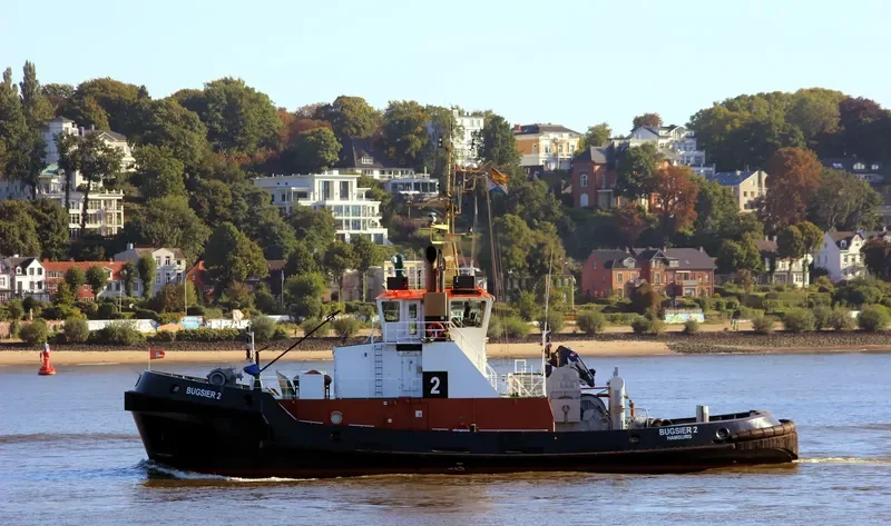 BUGSIER 2 General Cargo IMO 9338993 photo 8