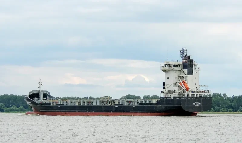 HAI SU 10 Container Ship IMO 9339076 photo 4