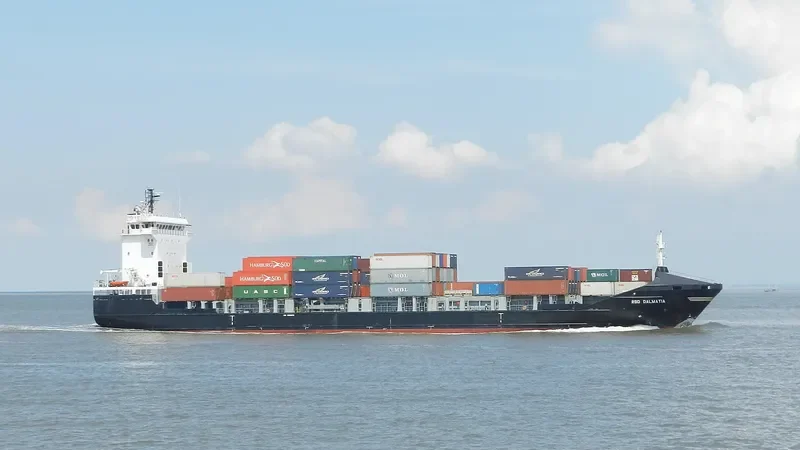 HAI SU 10 Container Ship IMO 9339076 photo 5