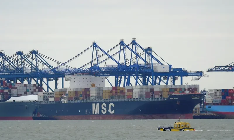 MSC PINA Container Ship IMO 9339272 photo 4