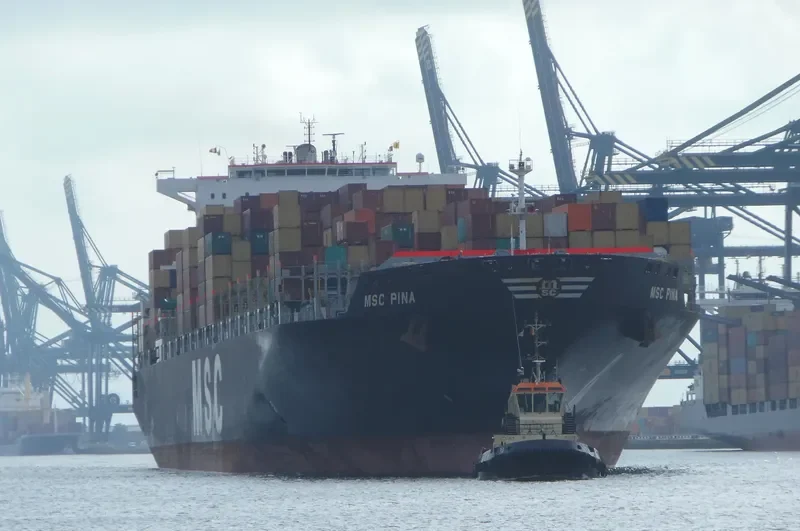 MSC PINA Container Ship IMO 9339272 photo 7