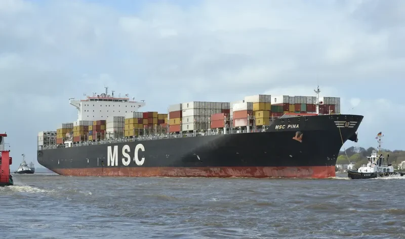 MSC PINA Container Ship IMO 9339272 photo 10