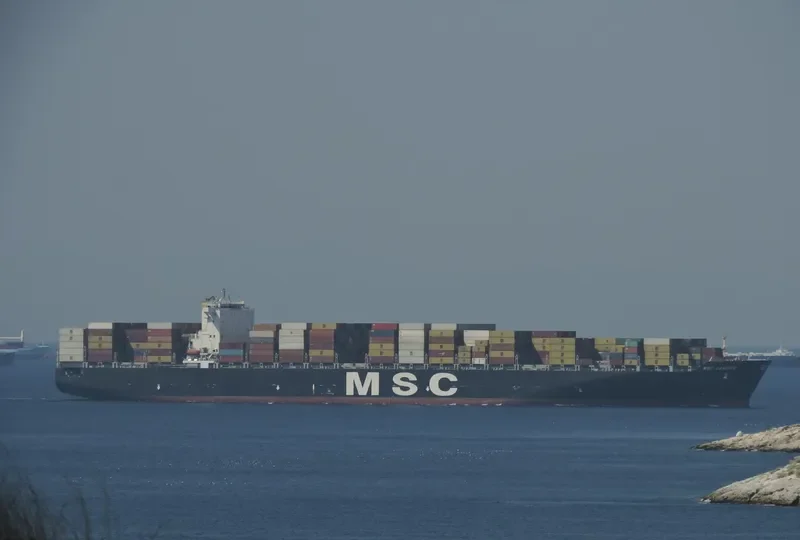 MSC CANDICE Container Ship IMO 9339284 photo 2