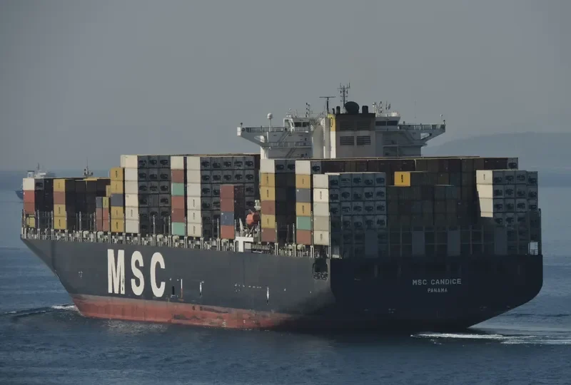 MSC CANDICE Container Ship IMO 9339284 photo 6