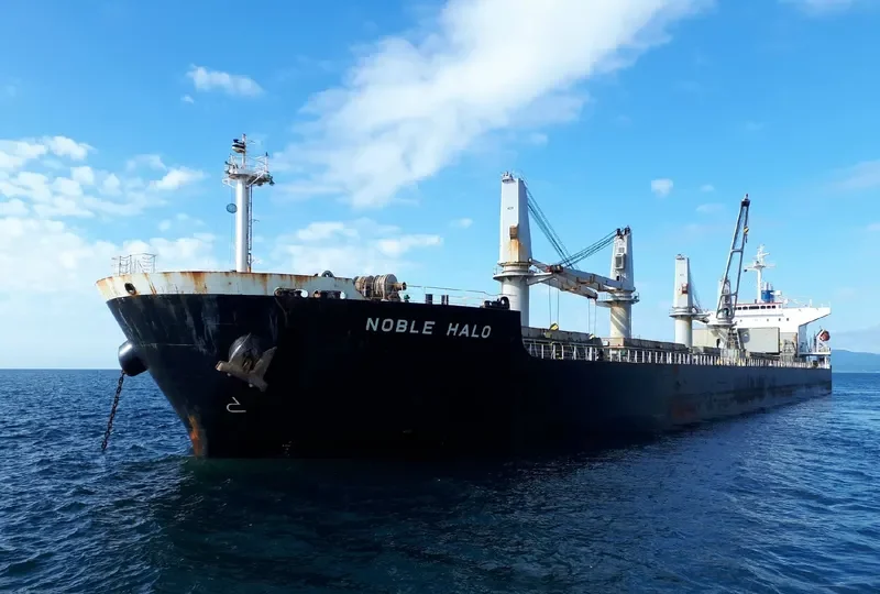 NOBLE HALO Bulk Carrier IMO 9339430