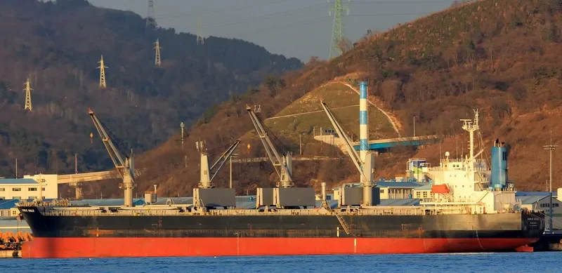 NOBLE HALO Bulk Carrier IMO 9339430 photo 2