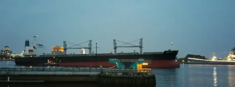 NOBLE HALO Bulk Carrier IMO 9339430 photo 5