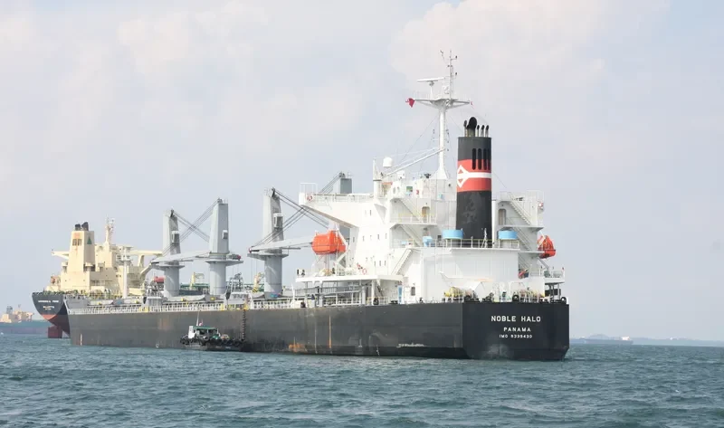 NOBLE HALO Bulk Carrier IMO 9339430 photo 6