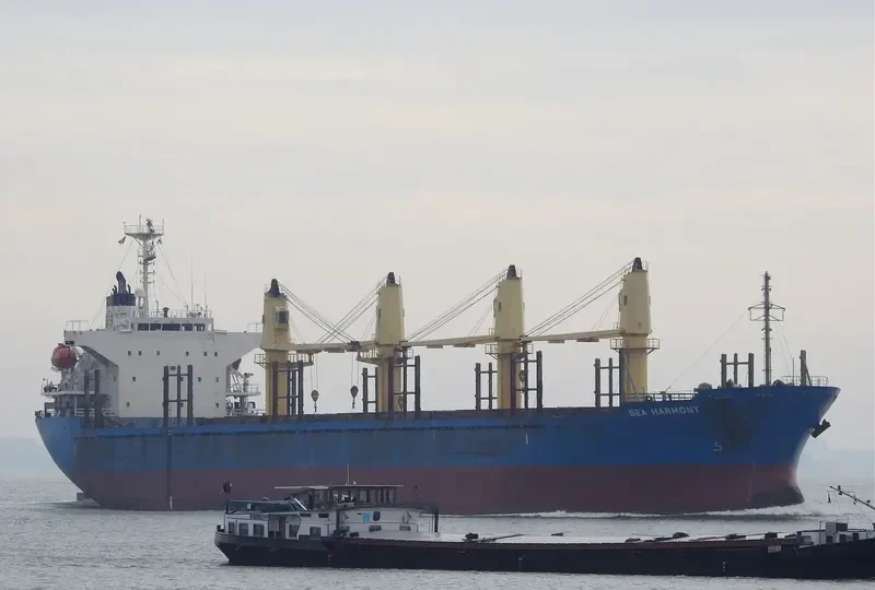 MY LAMA Bulk Carrier IMO 9339791 photo 2