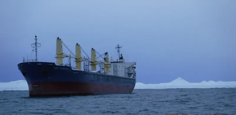 MY LAMA Bulk Carrier IMO 9339791 photo 4
