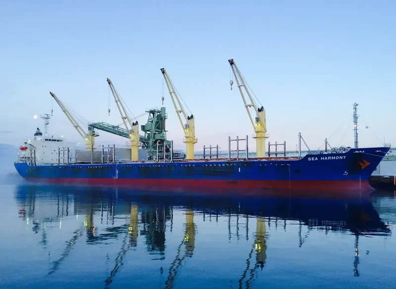 MY LAMA Bulk Carrier IMO 9339791 photo 5
