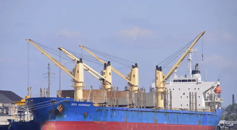 MY LAMA Bulk Carrier IMO 9339791 photo 6