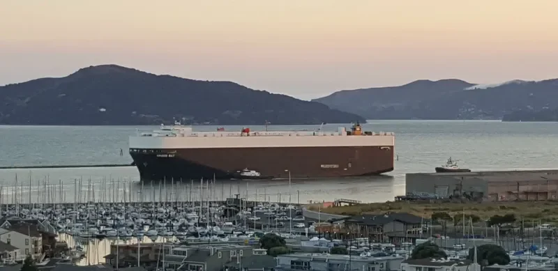 GREEN BAY General Cargo IMO 9339818 photo 6