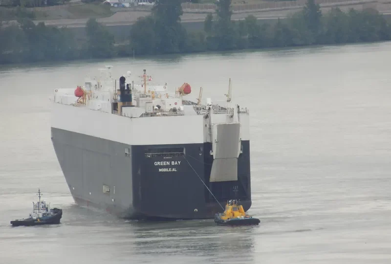 GREEN BAY General Cargo IMO 9339818 photo 7