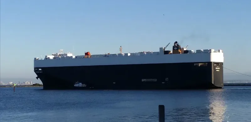 GREEN BAY General Cargo IMO 9339818 photo 10