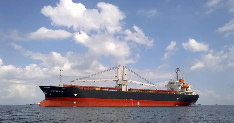 HORIZON 9 General Cargo IMO 9339935 photo 9