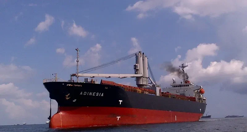 HORIZON 9 General Cargo IMO 9339935 photo 10