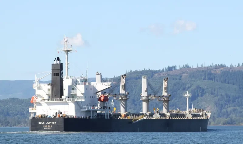 BULK JUPITER Bulk Carrier IMO 9339947 photo 2