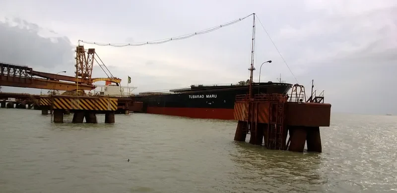 TUBARAO MARU Bulk Carrier IMO 9339961 photo 3