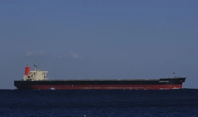TUBARAO MARU Bulk Carrier IMO 9339961 photo 5
