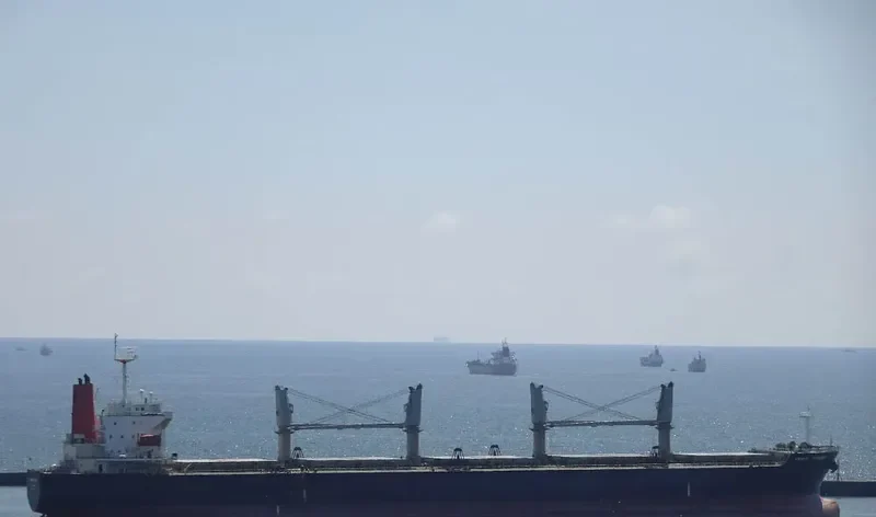 AGIA EIRINI FORCE Bulk Carrier IMO 9340063