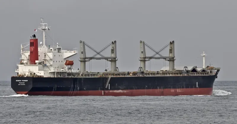 AGIA EIRINI FORCE Bulk Carrier IMO 9340063 photo 7