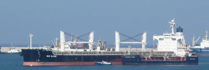 SUN GLOBE Bulk Carrier IMO 9340506 photo 4