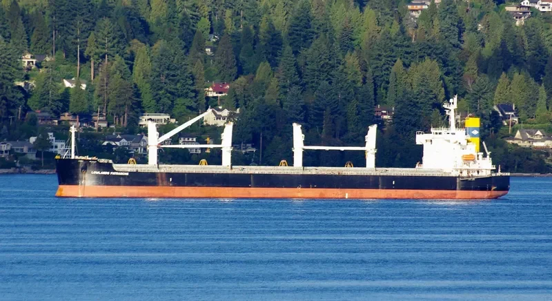 SUN GLOBE Bulk Carrier IMO 9340506 photo 8