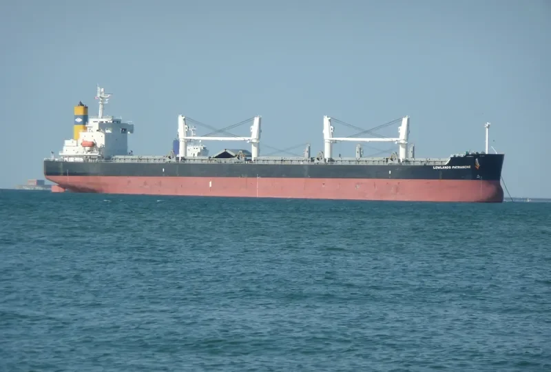 SUN GLOBE Bulk Carrier IMO 9340506 photo 10