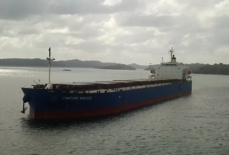 FORTUNE MIRACLE Bulk Carrier IMO 9340544 photo 2