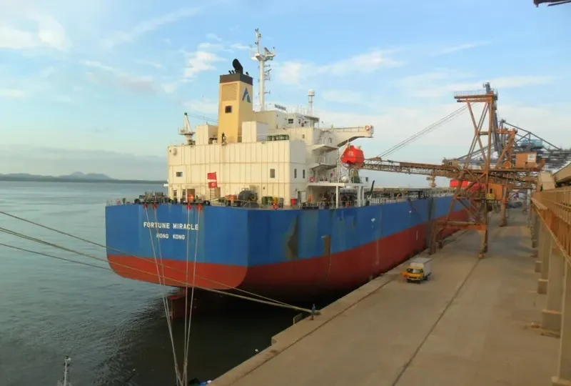 FORTUNE MIRACLE Bulk Carrier IMO 9340544 photo 3