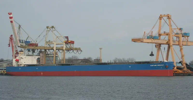 FORTUNE MIRACLE Bulk Carrier IMO 9340544 photo 9