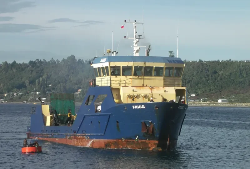 FRIGG General Cargo IMO 9340788 photo 5