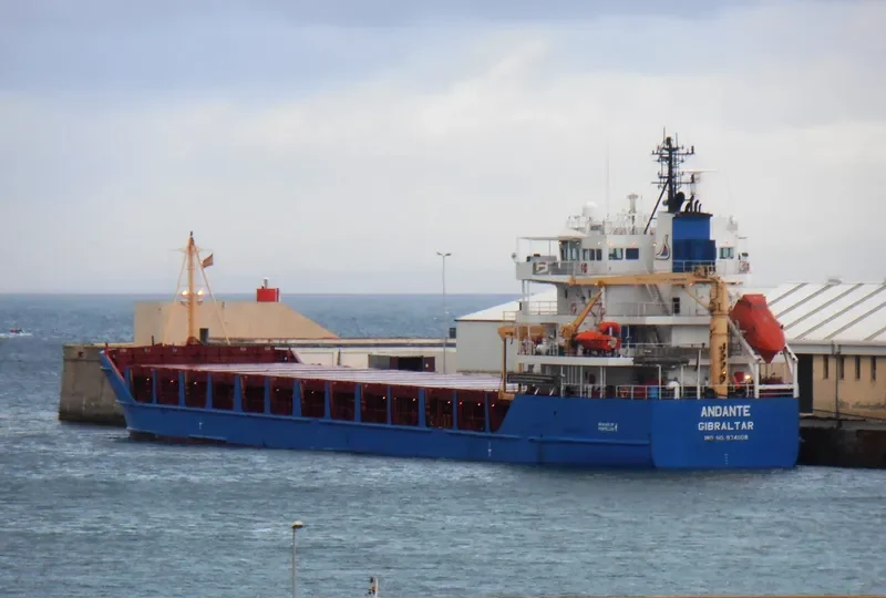 DANITA General Cargo IMO 9341108 photo 2