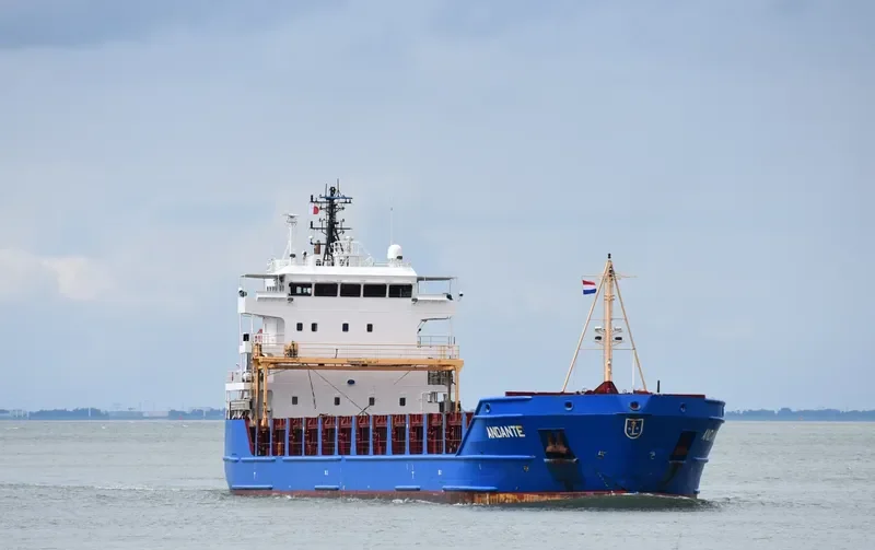DANITA General Cargo IMO 9341108 photo 8