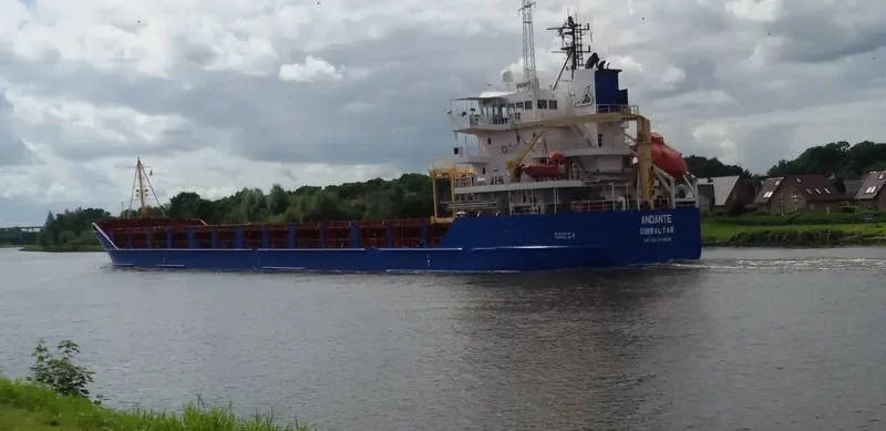DANITA General Cargo IMO 9341108 photo 9