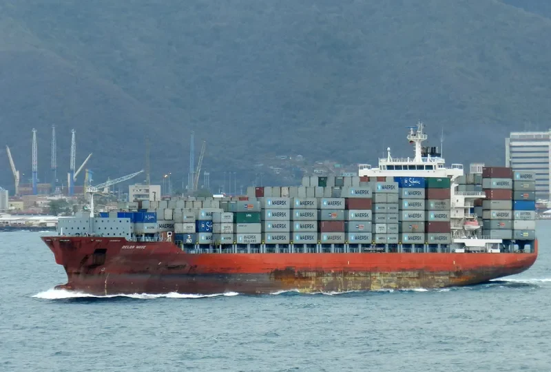 DELOS WAVE Container Ship IMO 9341110 photo 3