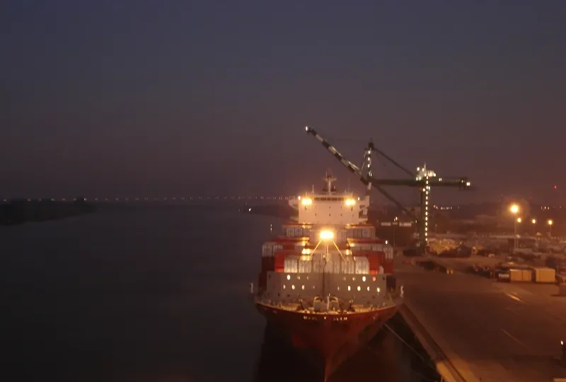 DELOS WAVE Container Ship IMO 9341110 photo 18