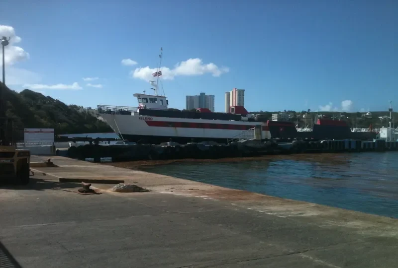 ISLENO Ro-Ro IMO 9341201 photo 6