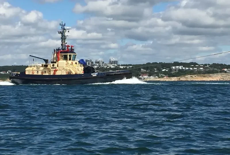 SVITZER ODEN General Cargo IMO 9342451 photo 8