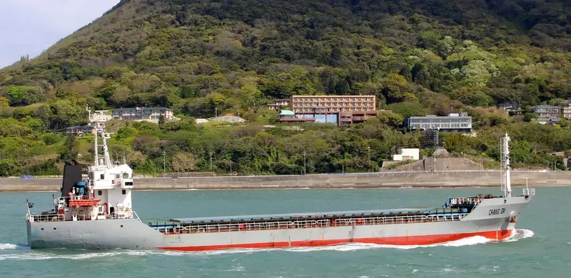CHANG DA Bulk Carrier IMO 9342578 photo 2