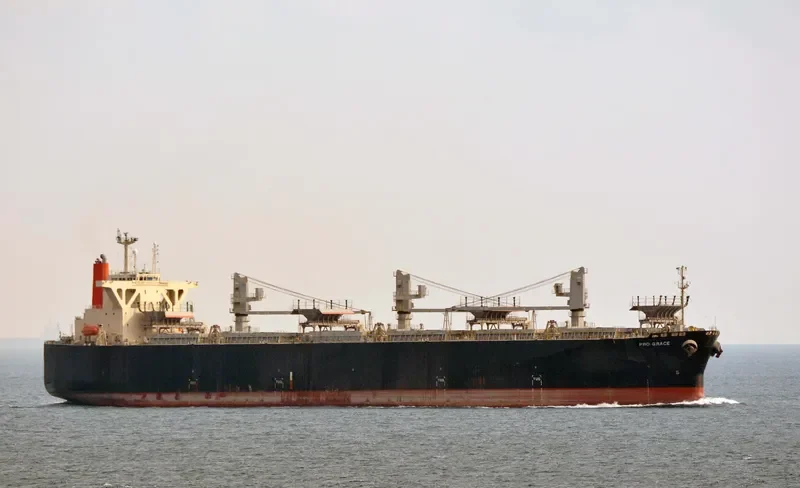 PRO GRACE Bulk Carrier IMO 9342736