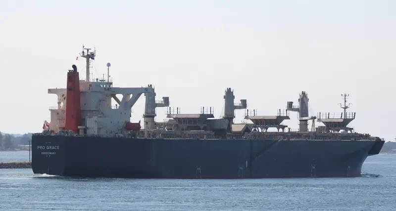 PRO GRACE Bulk Carrier IMO 9342736 photo 2