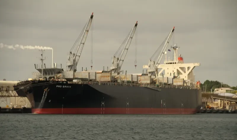 PRO GRACE Bulk Carrier IMO 9342736 photo 3
