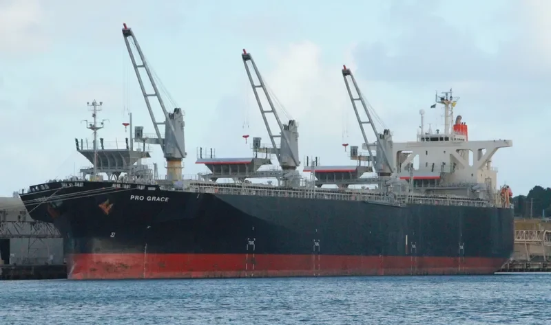 PRO GRACE Bulk Carrier IMO 9342736 photo 6
